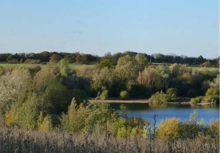 Landscape & Countryside Image