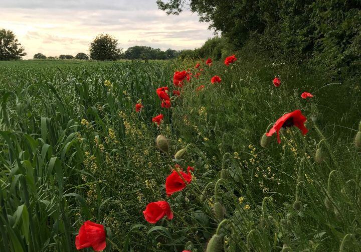 Protecting Nature & Farmland Image