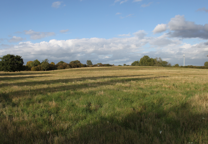 New Public Open Spaces Image