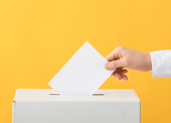 How to Vote Image